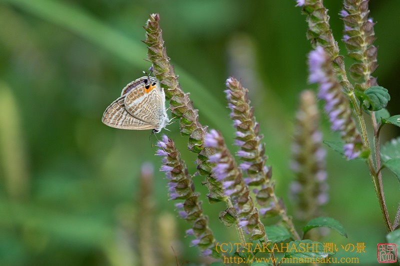 ../Images/7R240928 (169).jpg